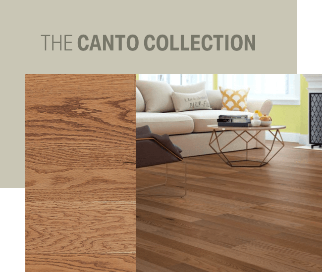 the CANTO collection