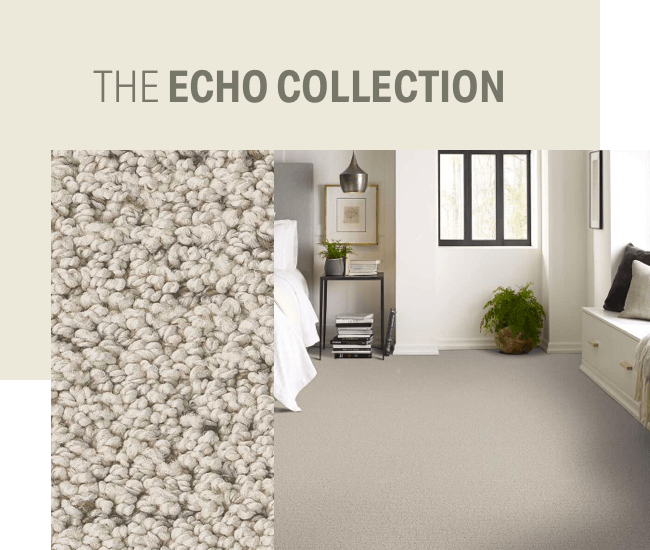 the ECHO collection